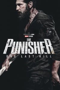The Punisher : One Last Kill